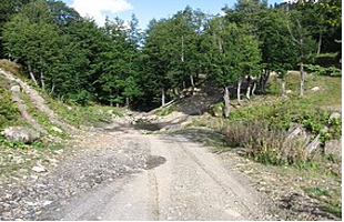 Pskhu-Gumista Strict Nature Reserve