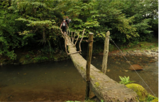 Mtirala National Park