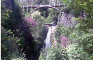 Tbilisi National Park